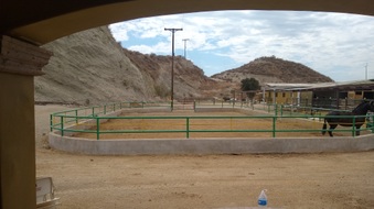 Enlarge photo 34