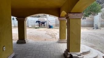 Enlarge photo 35