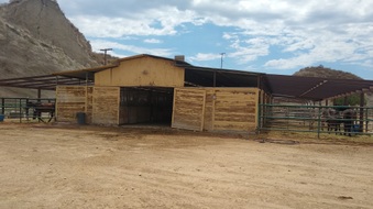 Enlarge photo 37
