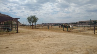 Enlarge photo 38