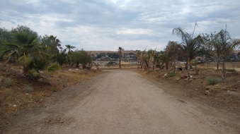 Enlarge photo 41