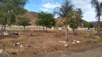 Enlarge photo 42