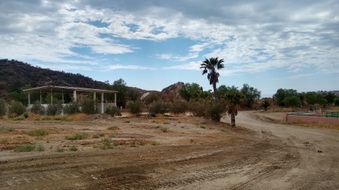 Enlarge photo 47