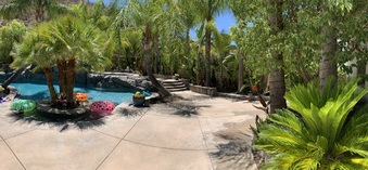 Enlarge photo 36