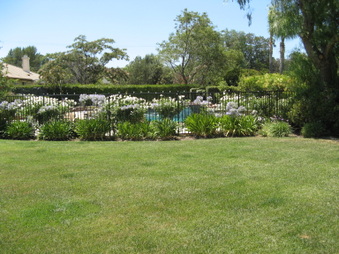 Enlarge photo 80