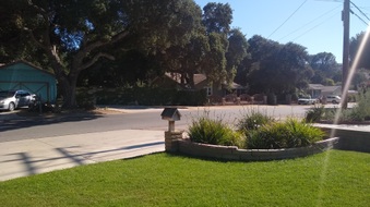 Enlarge photo 11