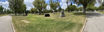 Enlarge photo 12