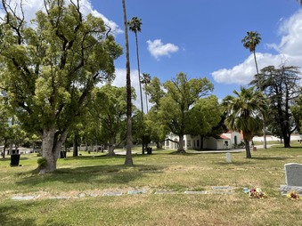 Enlarge photo 9