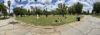 Enlarge photo 7