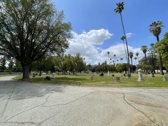 Enlarge photo 11