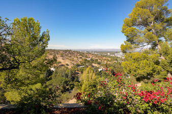 Enlarge photo 47