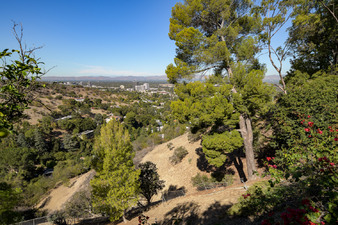 Enlarge photo 50