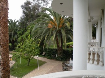 Enlarge photo 79