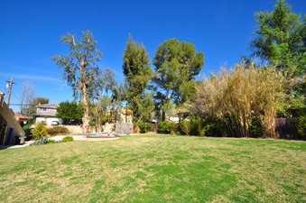 Enlarge photo 65
