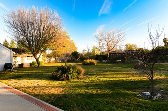 Enlarge photo 54