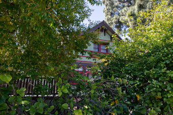 Enlarge photo 32