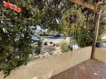 Enlarge photo 8