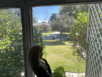 Enlarge photo 20