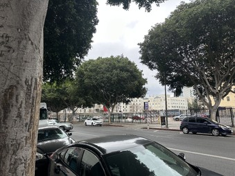 Enlarge photo 7