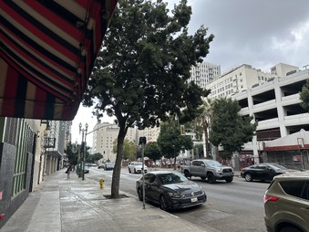Enlarge photo 6