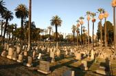 Rosedale