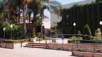 Enlarge photo 37