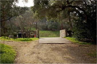 Enlarge photo 2
