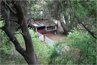 Enlarge photo 16