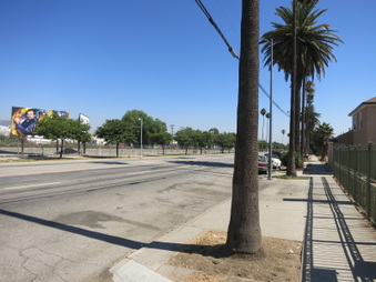 Enlarge photo 23