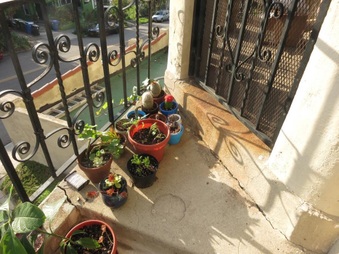 Enlarge photo 26