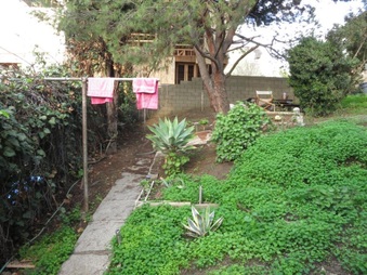 Enlarge photo 38