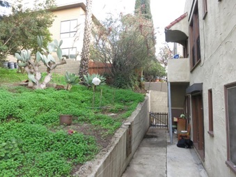 Enlarge photo 39