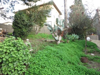 Enlarge photo 40