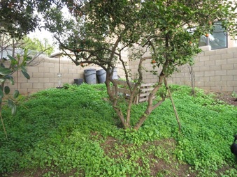 Enlarge photo 46