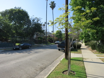 Enlarge photo 7