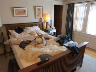 Enlarge photo 48