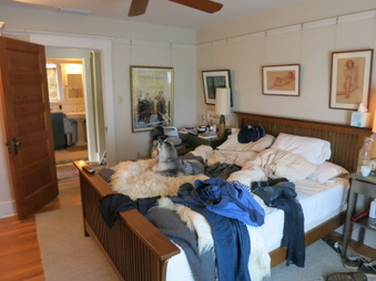 Enlarge photo 49