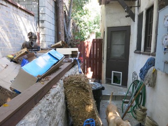Enlarge photo 30