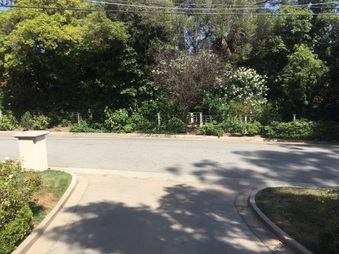 Enlarge photo 5