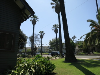 Enlarge photo 16
