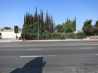 Enlarge photo 13