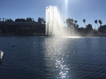 Enlarge photo 2