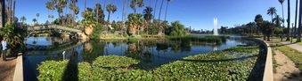 Enlarge photo 29