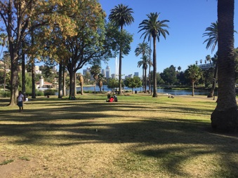 Enlarge photo 36