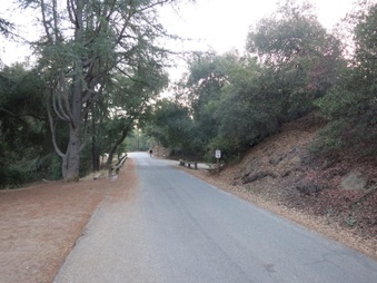 Enlarge photo 2