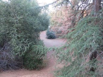 Enlarge photo 5