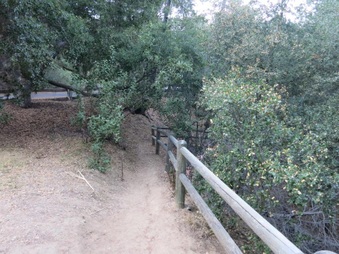 Enlarge photo 6
