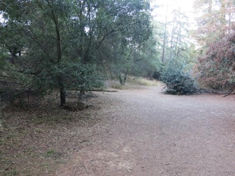 Enlarge photo 7
