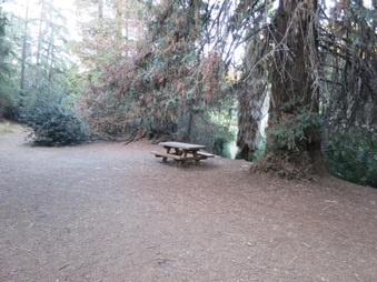 Enlarge photo 8
