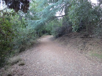Enlarge photo 9